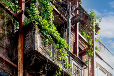 Tahta tarihi bir bina ve üzerinde yeşil bitkiler var.