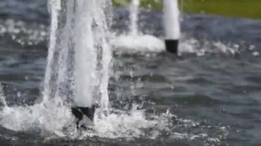 Havuzdaki fıskiyelerin güzel manzarası