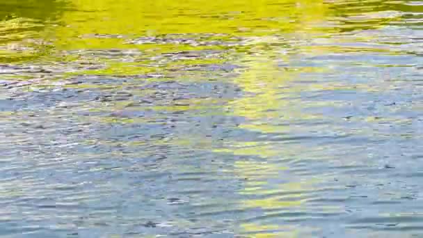 Желтая Лодка Море Искры Море — стоковое видео