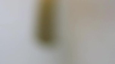 Dönen tavan vantilatörü pervaneleri. Görüntü bulanık