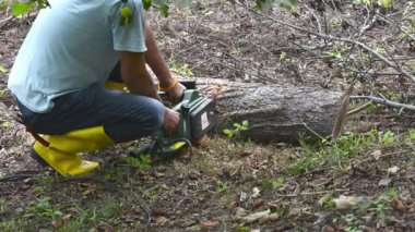 Adam ağaç gövdesini testere ile kesiyor.