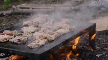 Izgarada kızarmış tavuk parçaları.