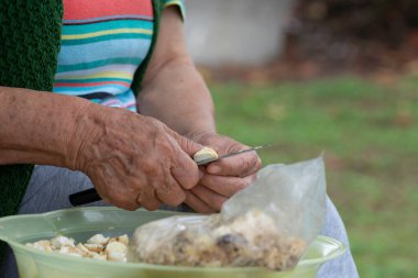 Kadınlar mantar, mantar ve mantar temizliyor ve kesiyor.