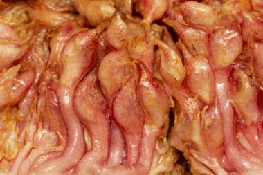 Olgun incirli makro shot.