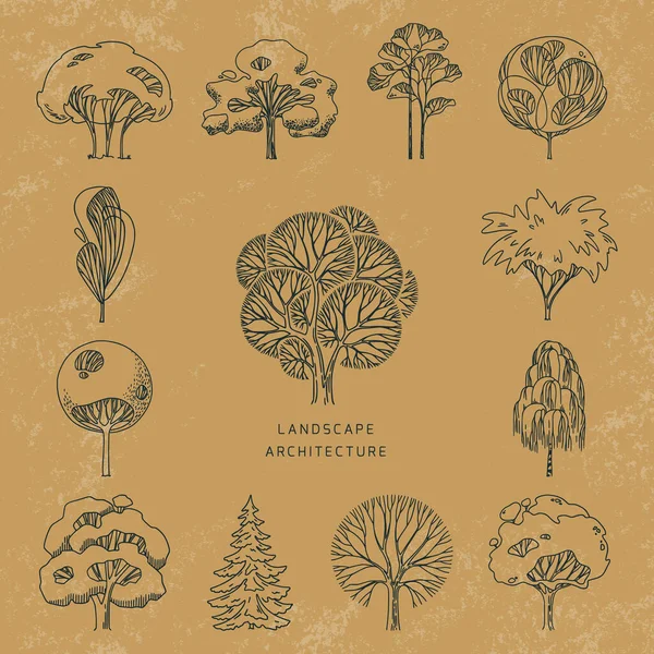 A set of different types of trees front view in the old style, drawn in a linear style on the background of the paper. — Stock Vector