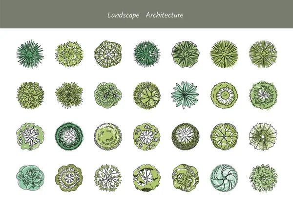 Набір різних видів дерев зверху для планів парку та інфографіки. ландшафтної архітектури . — стоковий вектор