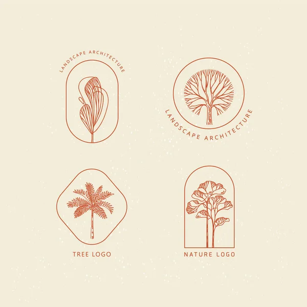 Conjunto de palma natureza pacote, árvore logotipo linha vetorial arte design ilustração minimalista. — Vetor de Stock