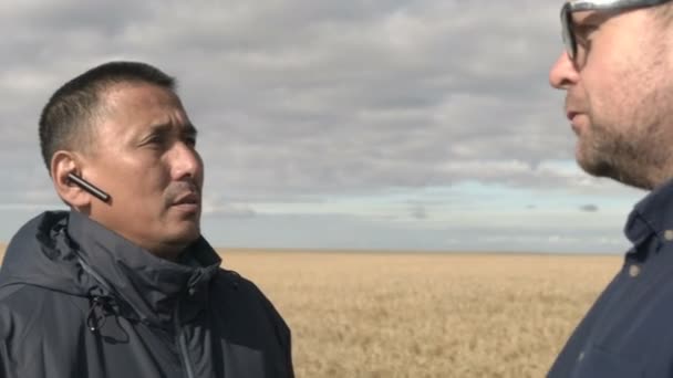 Imprenditore e agronomo stanno lavorando sul campo. La raccolta dell'avena sta maturando nel campo. Intelligente fa business. — Video Stock