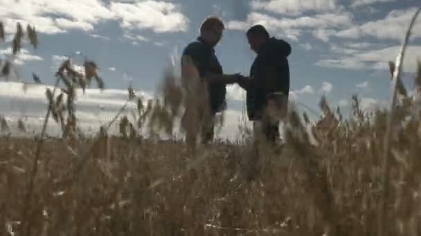 Empresário e agrônomo estão trabalhando com a ajuda do aplicativo agro no smartphone. A colheita de aveia está a amadurecer no campo. Negócios espertos. — Vídeo de Stock