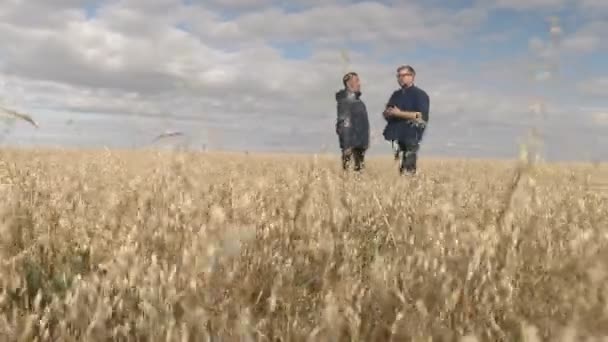 実業家と農学者がこの分野で働いている。オート麦の収穫は畑で熟しています。スマート前ビジネス. — ストック動画