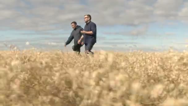 L'homme d'affaires et l'agronome travaillent sur le terrain. La récolte de l'avoine mûrit dans les champs. Affaires Smart ago. — Video