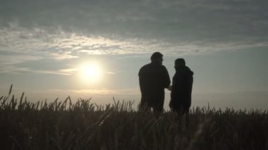 İş adamı ve tarım uzmanı gün batımına karşı tarlada çalışıyorlar. Buğday hasadı tarlada olgunlaşıyor. Akıllı tarım işi.