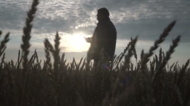 İşadamı akıllı telefondan tarım uygulamasının yardımıyla çalışıyor..