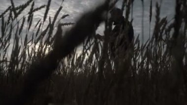 İşadamı akıllı telefondan tarım uygulamasının yardımıyla çalışıyor..