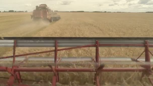 Große Mähdrescher mähen den Weizen. Große Erntehelfer bei der Feldarbeit. — Stockvideo