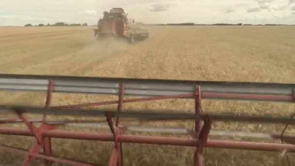 Große Mähdrescher mähen den Weizen. Große Erntehelfer bei der Feldarbeit. — Stockvideo