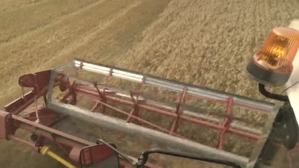 大的联合收割机修剪小麦.大丰收收割者在田里干活. — 图库视频影像