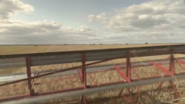 Заголовок великого комбайна копає пшеницю. Великий збір врожаю працює в полі . — стокове відео