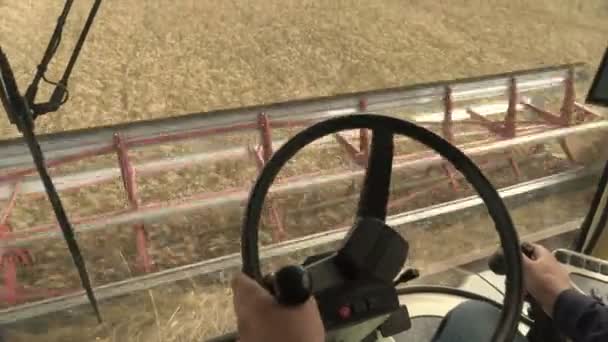 Männliche Hände Farmer Fahrer am Lenkrad Mähdrescher Ernte auf landwirtschaftlichem Feld. Blick von innen. — Stockvideo
