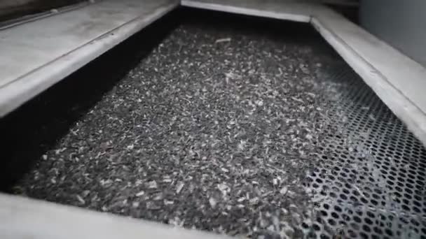 In een fabriek voor de productie van zonnebloemolie. De triltafel wordt gebruikt voor het zeven van zaden en het verwijderen van onzuiverheden. — Stockvideo