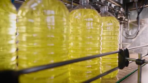 Linha automática para encher garrafas com óleo de girassol. Tecnologia produtiva moderna. — Vídeo de Stock