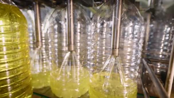 Автоматическая линия для наполнения бутылок подсолнечным маслом. Современные производственные технологии. — стоковое видео