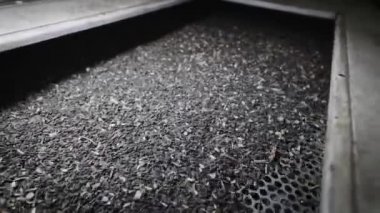 Ayçiçeği yağı üretimi için bir fabrikada. Titreşim tablosu tohumları ayıklamak ve safsızlıkları temizlemek için kullanılır..