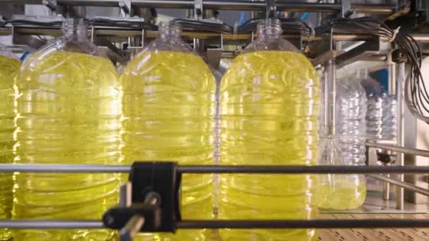 Linha automática para encher garrafas com óleo de girassol. Tecnologia produtiva moderna. — Vídeo de Stock