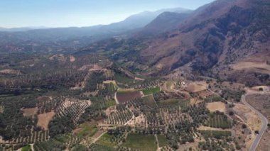 Hava görüntüsü. Girit 'in dağlık kesiminin güzel manzarasında zeytin ağaçları var..