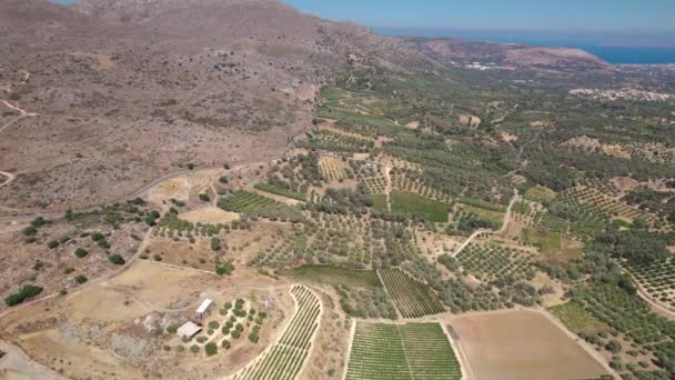 Вид с воздуха. Красивый пейзаж горной части Крита с оливковыми рощами. — стоковое видео