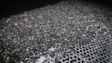 Ayçiçeği yağı üretimi için bir fabrikada. Titreşim tablosu tohumları ayıklamak ve safsızlıkları temizlemek için kullanılır..