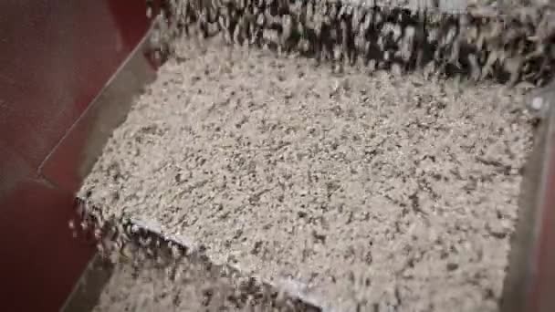 Em uma planta para a produção de óleo de girassol. Os grãos de girassol descascados são derramados no tanque. — Vídeo de Stock