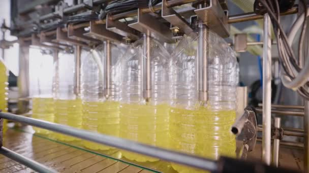 Automatisk linje för fyllning av flaskor med solrosolja. Modern produktionsteknik. — Stockvideo