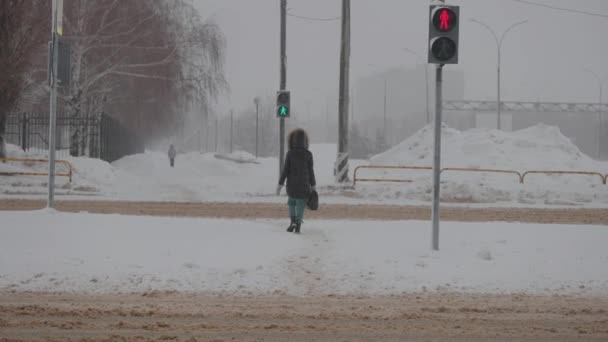 Cruzamento de pedestres no inverno em nevasca. Tráfego ocupado de carros em uma encruzilhada de inverno. — Vídeo de Stock