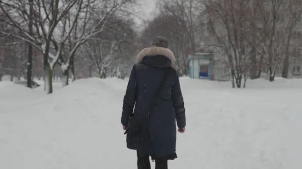 Uma forte queda de neve na cidade. Uma mulher caminha ao longo de um beco de inverno nevado. — Vídeo de Stock