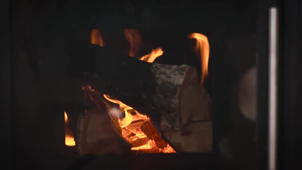 Leña y carbones arden en la estufa. — Vídeo de stock