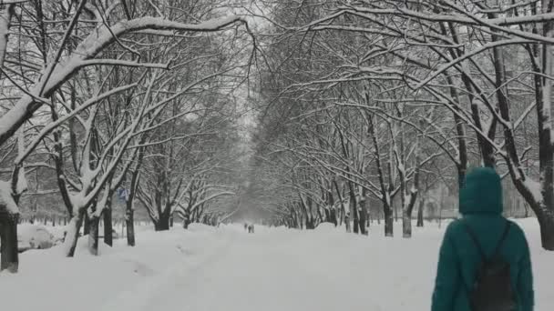 Silný sníh ve městě. Žena kráčí po zasněžené zimní uličce. — Stock video