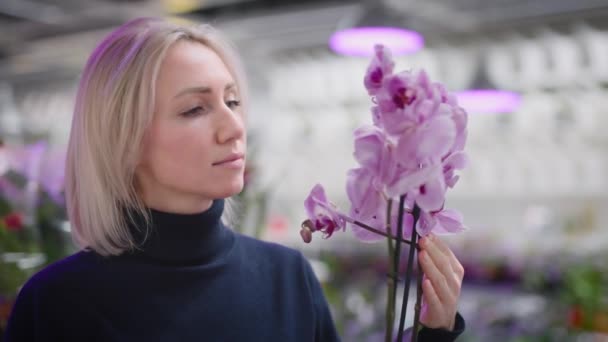 Женщина выбирает орхидею для домашнего сада. Свежие цветы в салоне. — стоковое видео