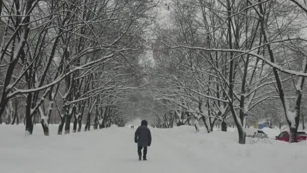 Βαριά χιονόπτωση στην πόλη. Ένας ηλικιωμένος περπατάει στο πεζοδρόμιο της πόλης.. — Αρχείο Βίντεο