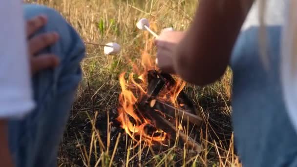 Детские руки с зефирными конфетками на палочке жарить на огне на пикнике на открытом воздухе — стоковое видео