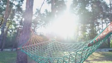 Ormanda yalnız bir hamak. Rahatlamak ve gevşemek için bir yer. 