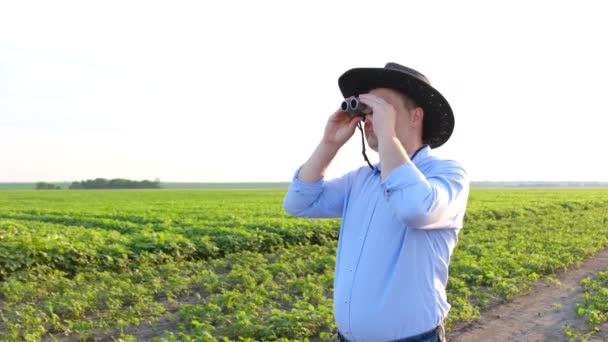 Agronom zkoumá pole sóji dalekohledem. — Stock video