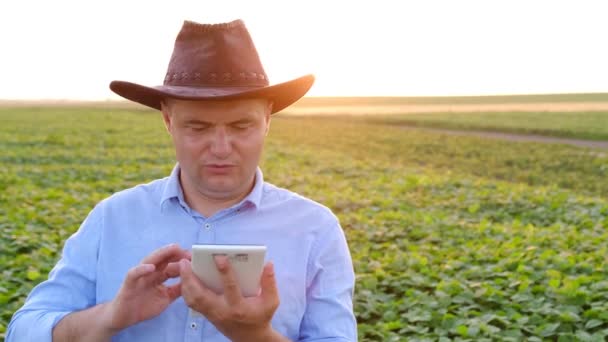 Um fazendeiro entra em contato com o escritório por videochamada de seu campo ao pôr do sol. — Vídeo de Stock