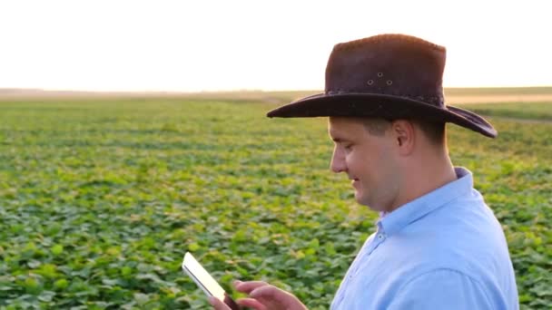 Agronegócio - verificar o crescimento da soja usando um tablet, campo de soja verde — Vídeo de Stock