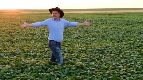 Farmer Business Business Concept Man Farmer While Walking Green Soybean — Stock Video