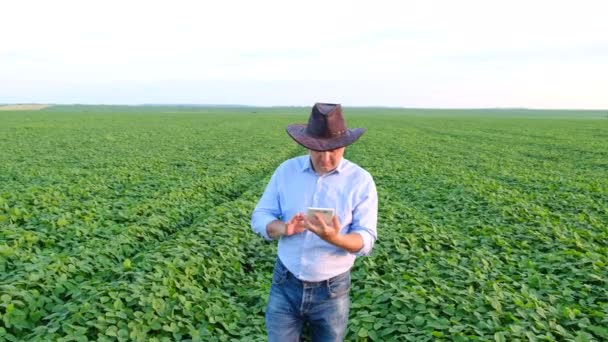 Agronegócio Verifique Crescimento Soja Usando Tablet Campo Soja Verde Conceito — Vídeo de Stock