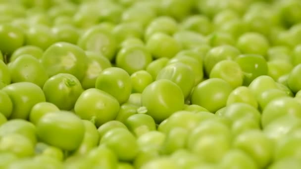 Zavřít pozadí Green Peas Rotace. Zelenina Sklizeň Zdravé Jíst. — Stock video