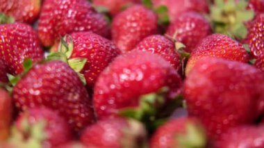 Olgun çilekler dönüşümlü makro atışlar, mevsimlik kırmızı meyveler, ev yapımı çilekler..