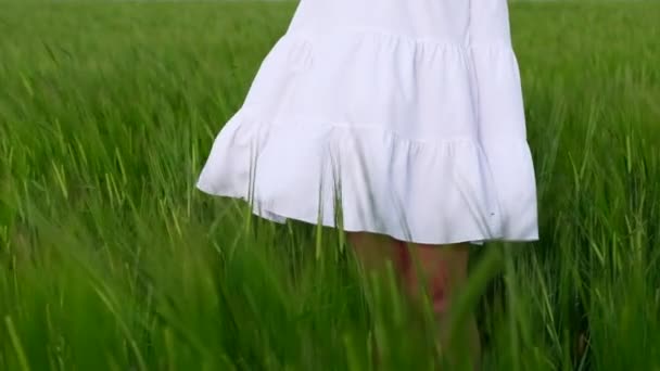 Il vento soffia un vestito bianco in un campo di grano verde. — Video Stock