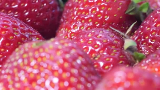 Close-up of ripe juicy strawberries. Strawberries, Close-up, Delicious Summer Berries. — Stock Video